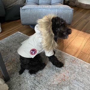 “Canada Goose” Dog winter coat